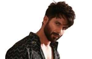 Shahid Kapoor Top Stories - Inside Box Office