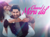 How Much Is The Chand Mera Dil Box Office Collection? Chand Mera Dil Day Wise Collection