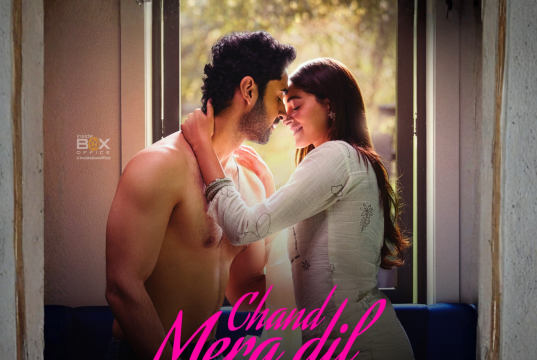 Is Chand Mera Dil An Emotional Love Story Or Just Another Complicated Romance? Cast Of Chand Mera Dil 2026