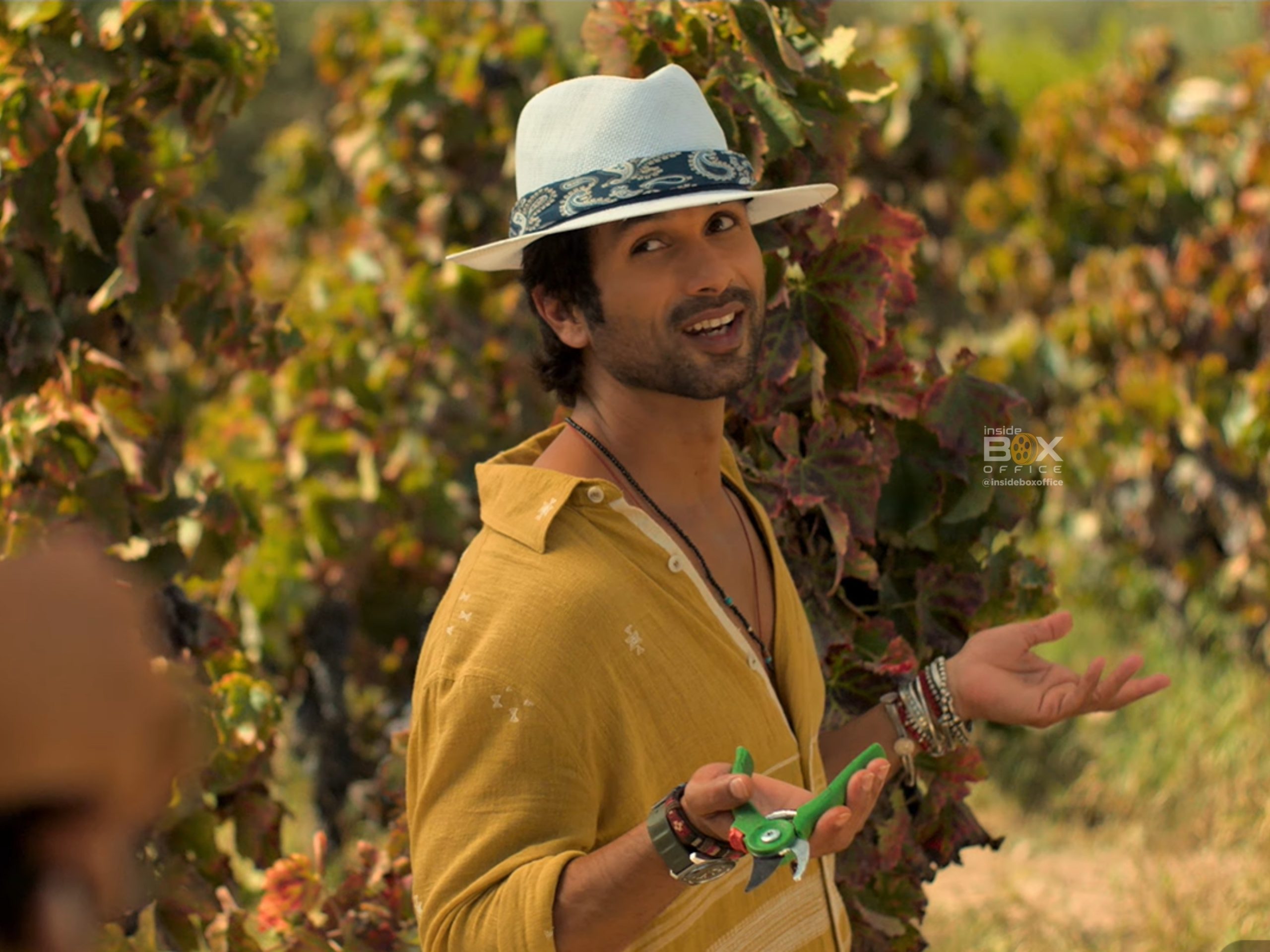 Why Watch Shahid Kapoor’s Upcoming Romantic Film Cocktail 2 2026? - Inside Box Office