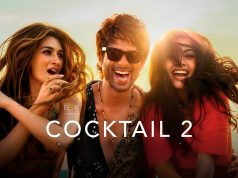 Cocktail 2 Review: Does This Love Triangle Really Work?
cocktail film review